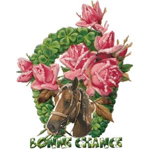 Gif animé bonne chance fer à cheval